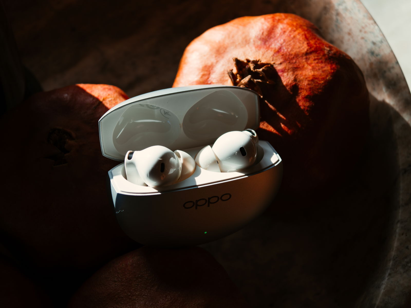 Interior del estuche