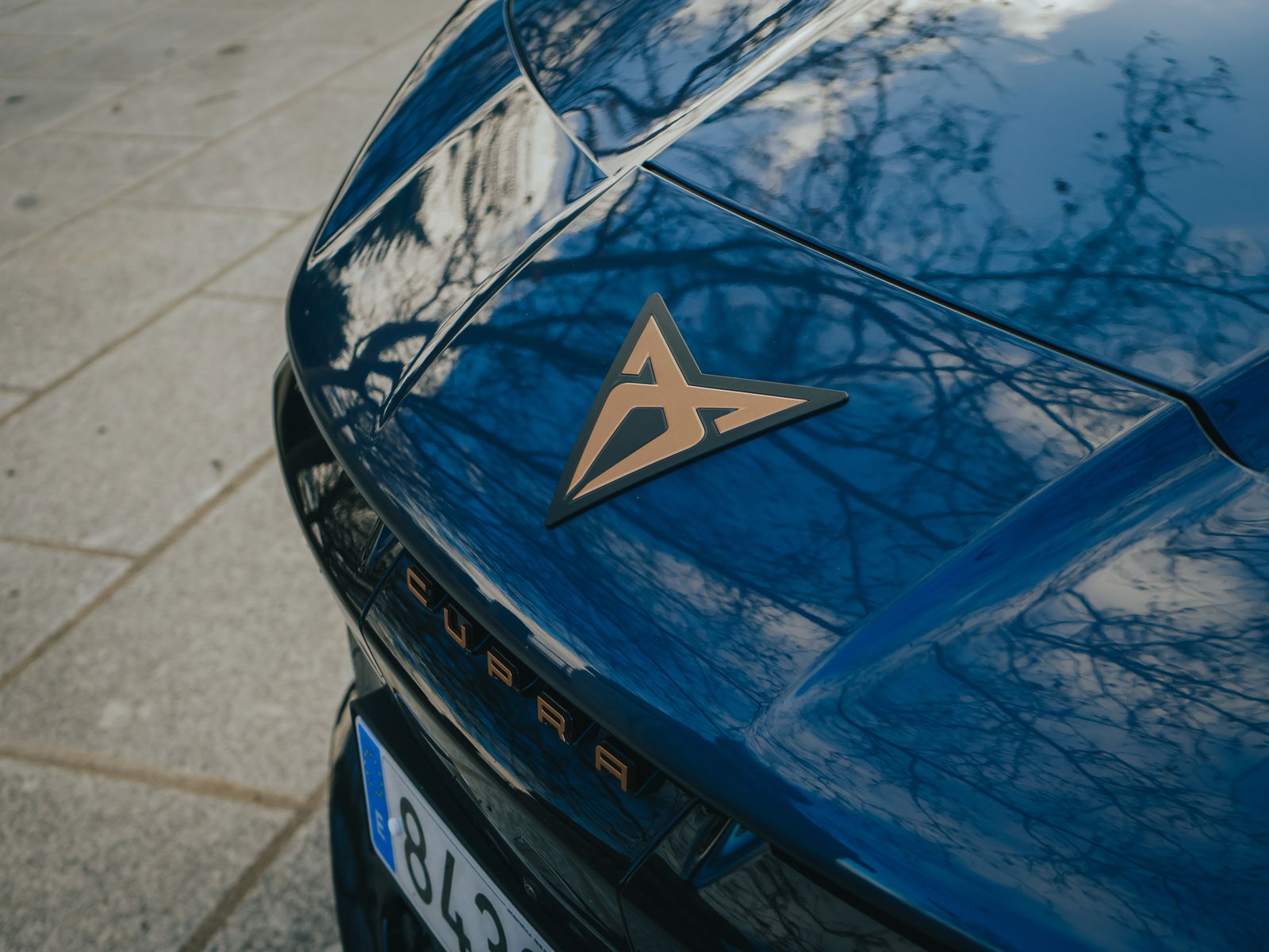 Logo del Cupra Tavascan