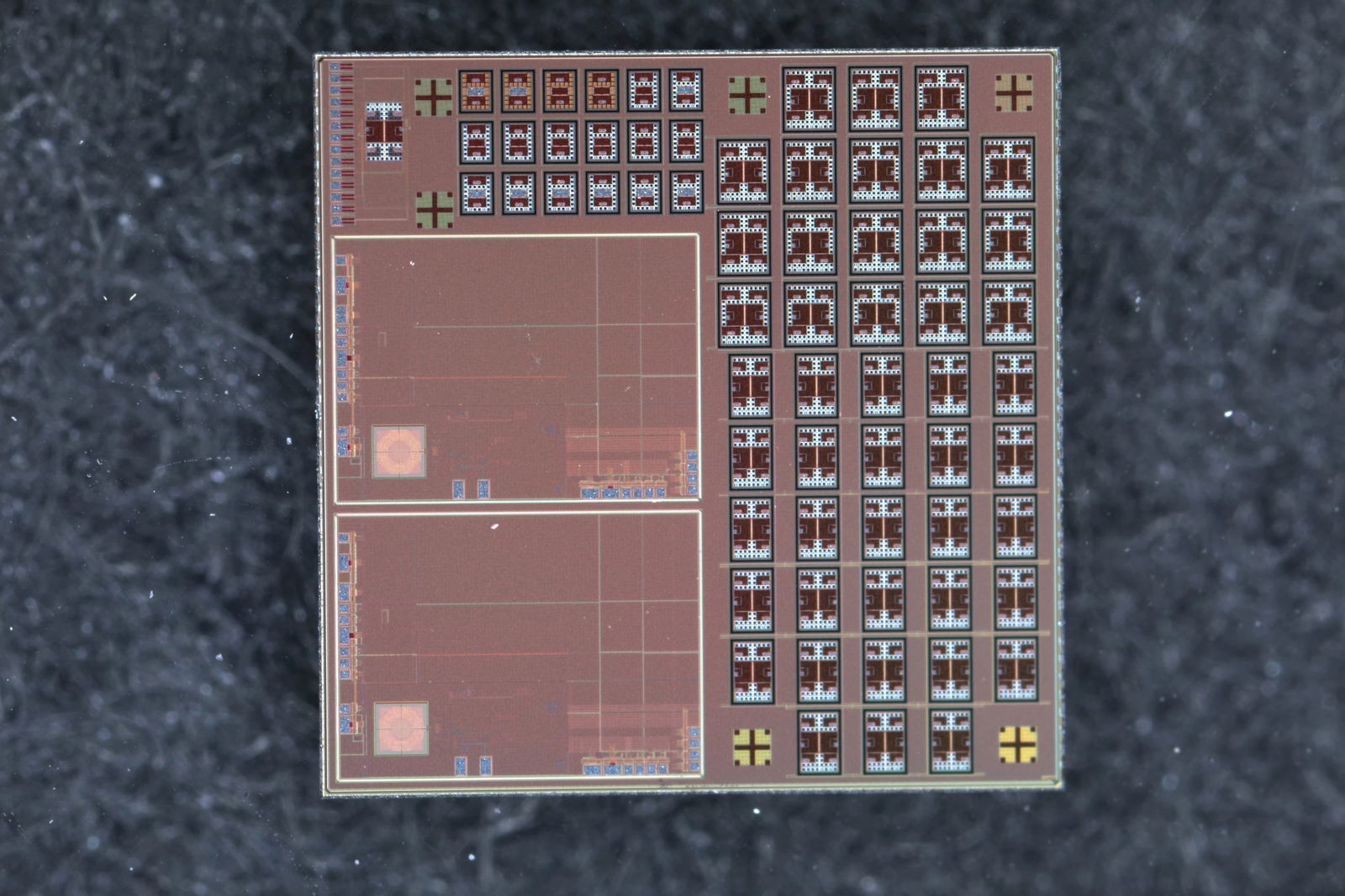 Primer plano de los robots diminutos