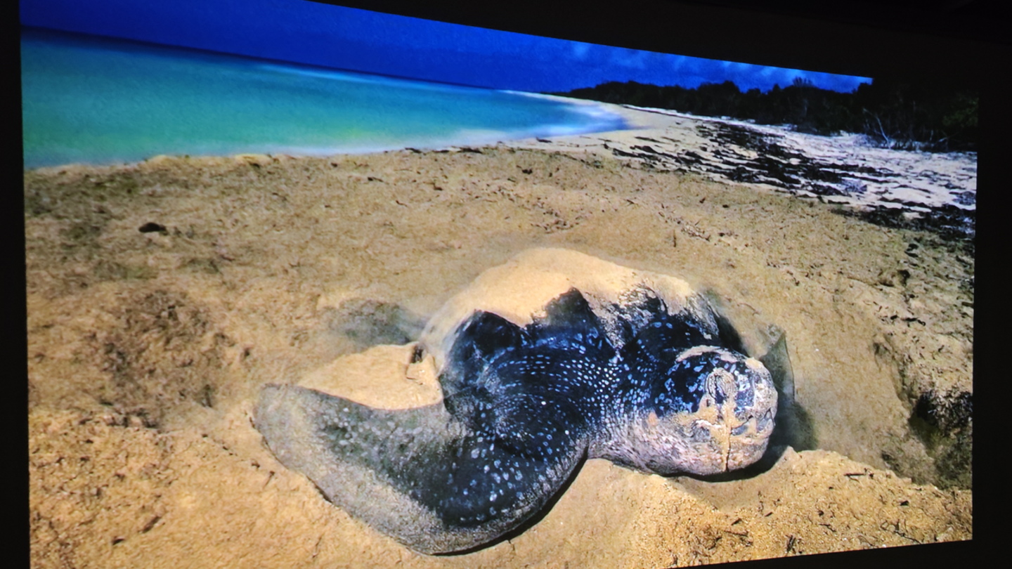 Sony BRAVIA Projector 7, análisis: el día que el cine dejó de ser un plan fuera de casa