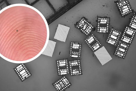 El robot más pequeño del mundo es capaz de nadar, sentir la temperatura y hasta "pensar" El robot más pequeño del mundo es capaz de nadar, sentir la temperatura y hasta "pensar"