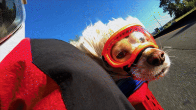 Creadores, este es vuestro sitio: Adobe Premiere para móviles ya permite hacer YouTube Shorts