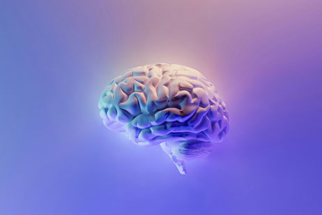 La mentira de los 25 años: un estudio masivo revela que tu cerebro sigue siendo "adolescente" hasta los 32