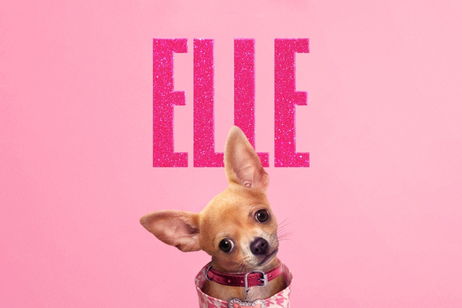 'Una rubia muy legal' estrena serie precuela en Prime Video y ya ha sido renovada por una segunda temporada