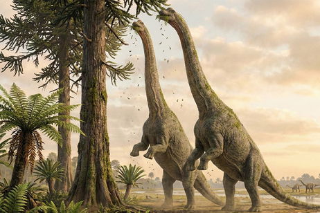 Ni trucos de cine ni magia: la ingeniería confirma cómo estos dinosaurios gigantes podían ponerse de pie