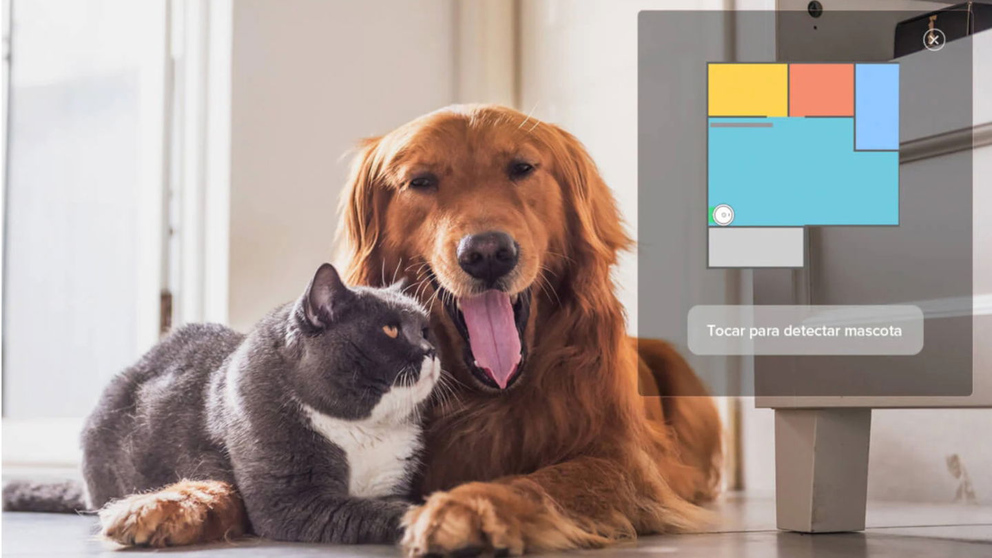 Limpia mejor que tú, es totalmente autónomo, encuentra a tus mascotas y les saca fotos y tiene 450 euros de descuento, ¿qué más quieres?