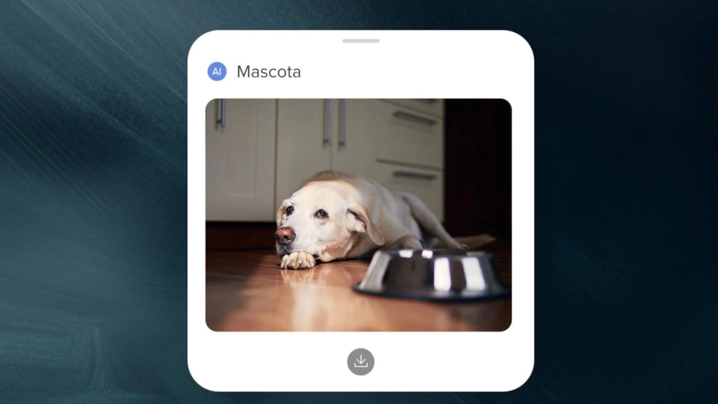 Limpia mejor que tú, es totalmente autónomo, encuentra a tus mascotas y les saca fotos y tiene 450 euros de descuento, ¿qué más quieres?