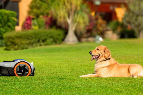 Tecnología RTK de alta precisión, visión e inteligencia artificial y 0 cables: el robot cortacésped que mereces tiene descuentazo