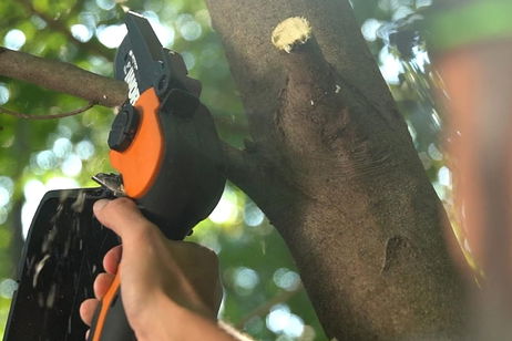 Potente para poda profesional: esta minimotosierra a batería es ligera y viene con alargador