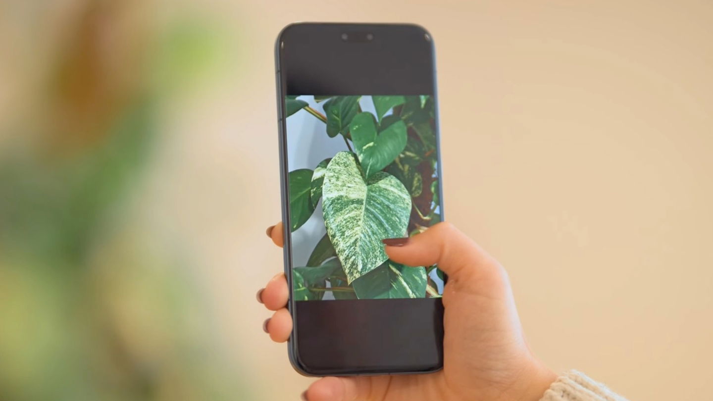 HONOR Magic8 Pro camara