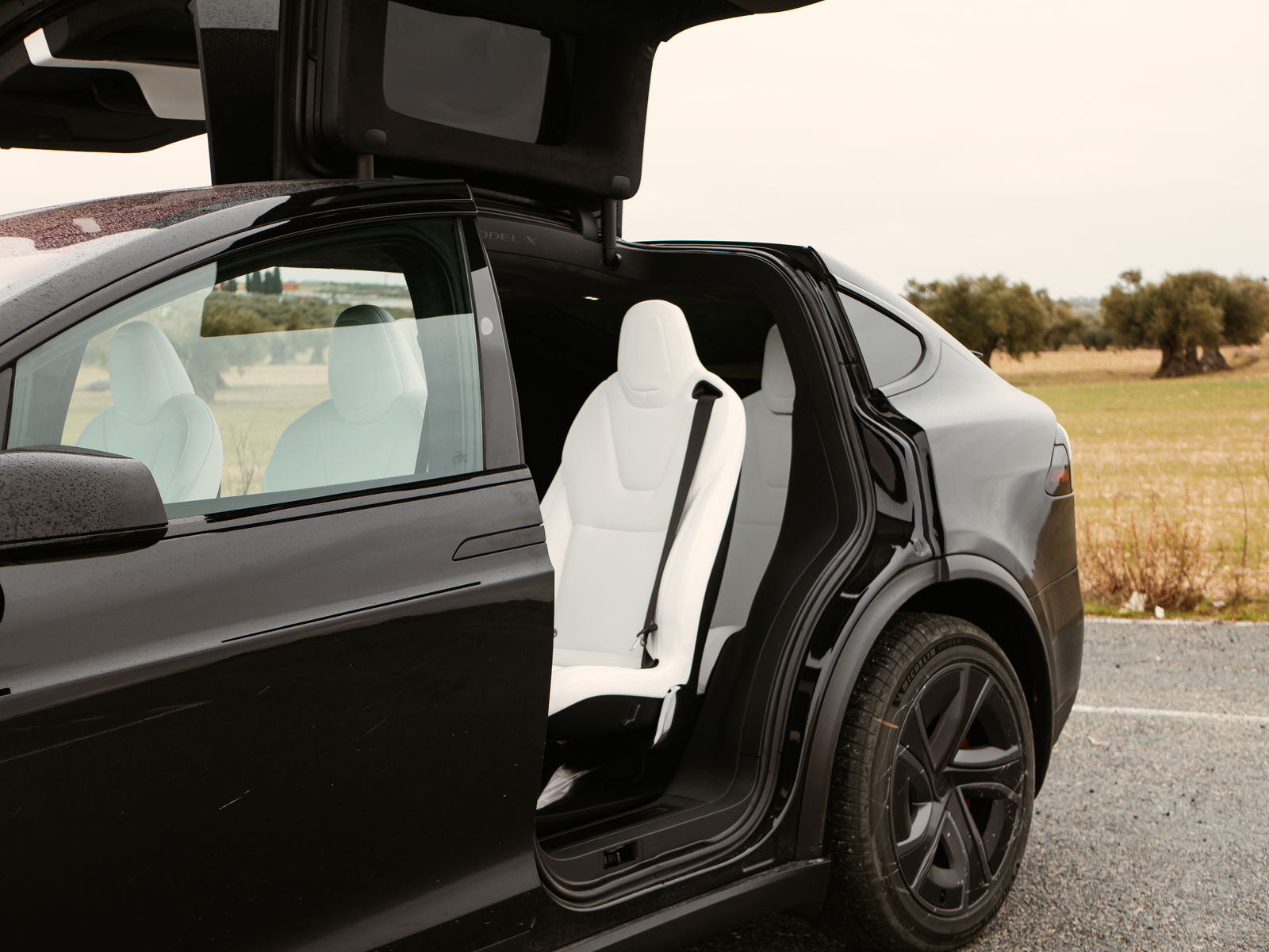 Interior del Tesla Model X