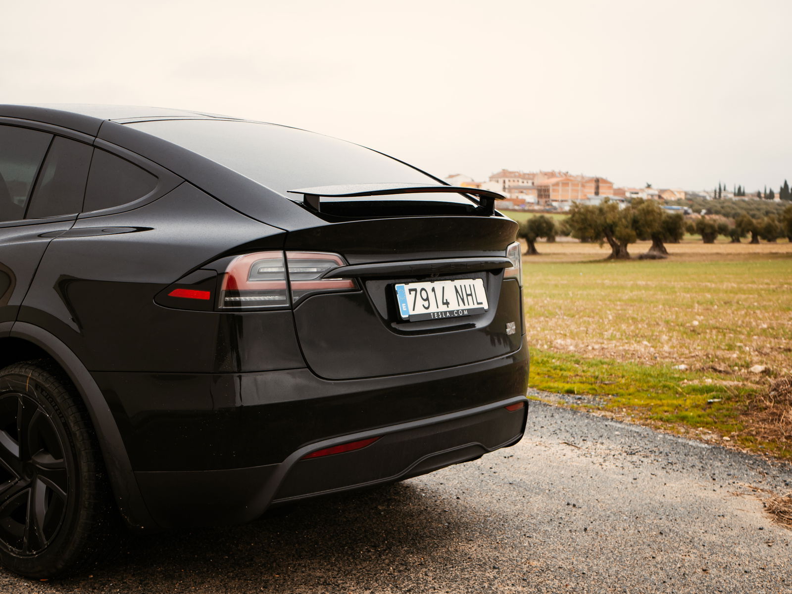 Trasera y aleron del Tesla Model X PLaid