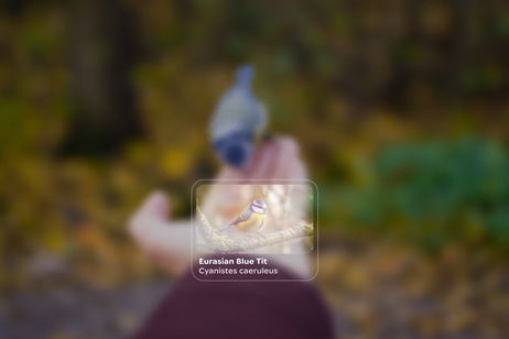 Google nos ha dado una pista de cómo será visualmente Android XR Google nos ha dado una pista de cómo será visualmente Android XR