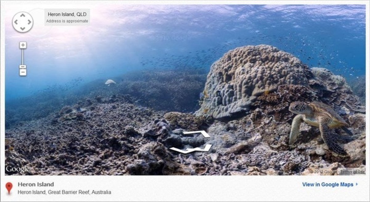 Google Maps amplía sus fronteras con impresionantes imágenes del fondo submarino