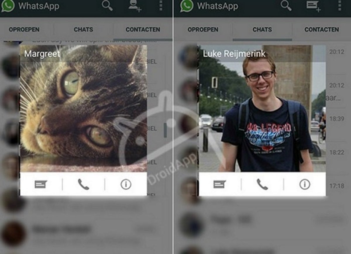 WhatsApp Beta pop up