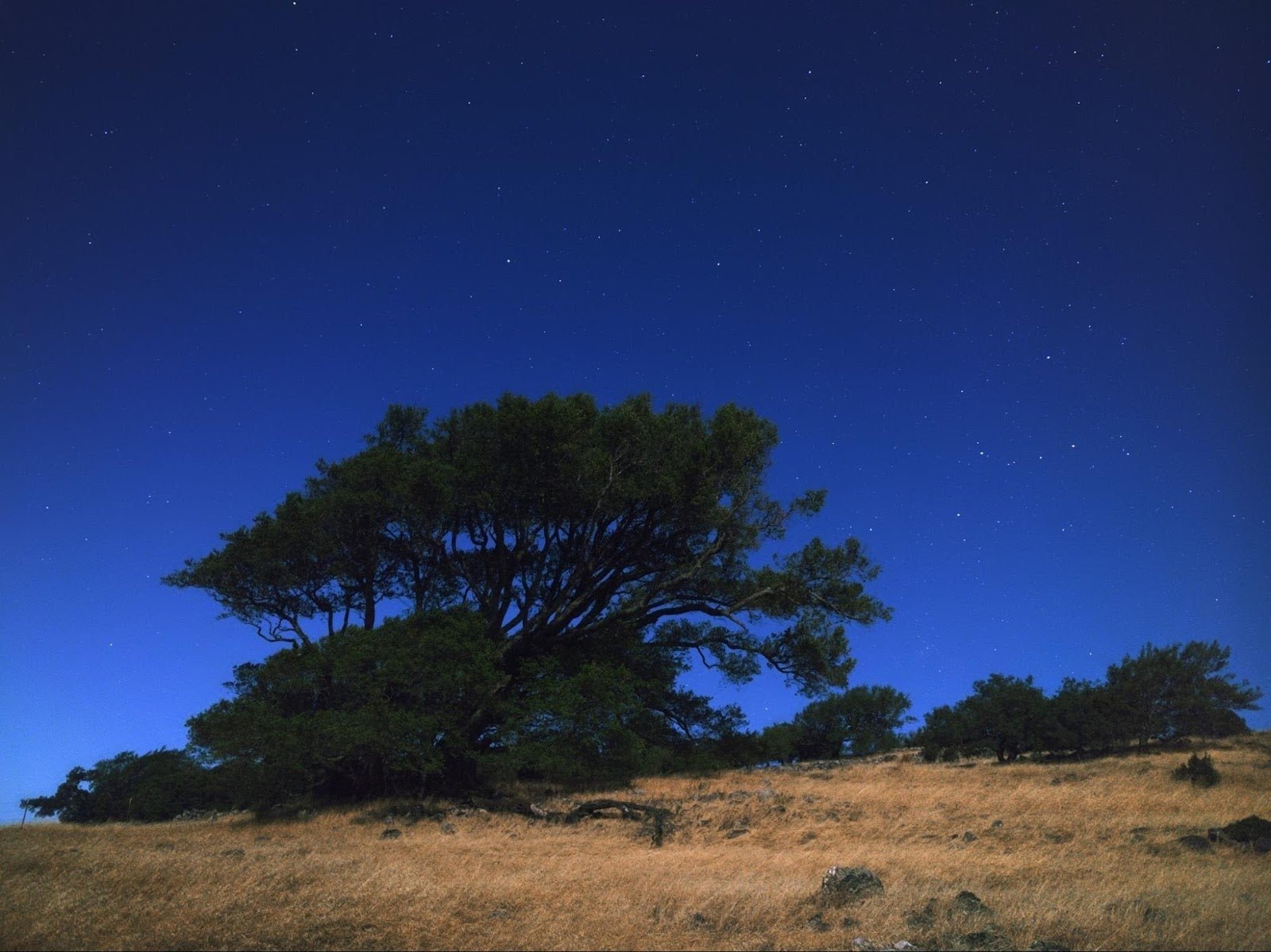 Estas fotos nocturnas tan espectaculares se han sacado con un Pixel y un Nexus 6P