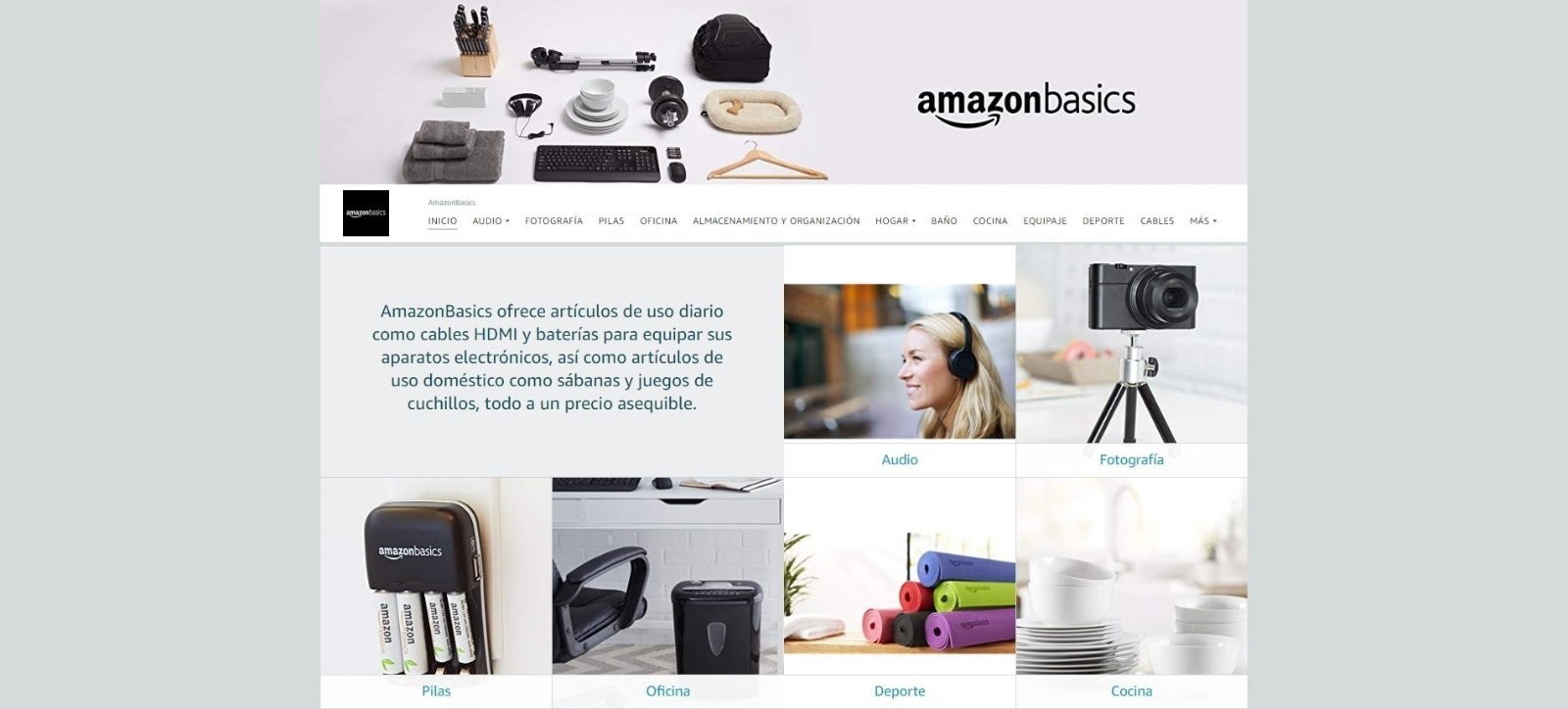 Amazon Basics web