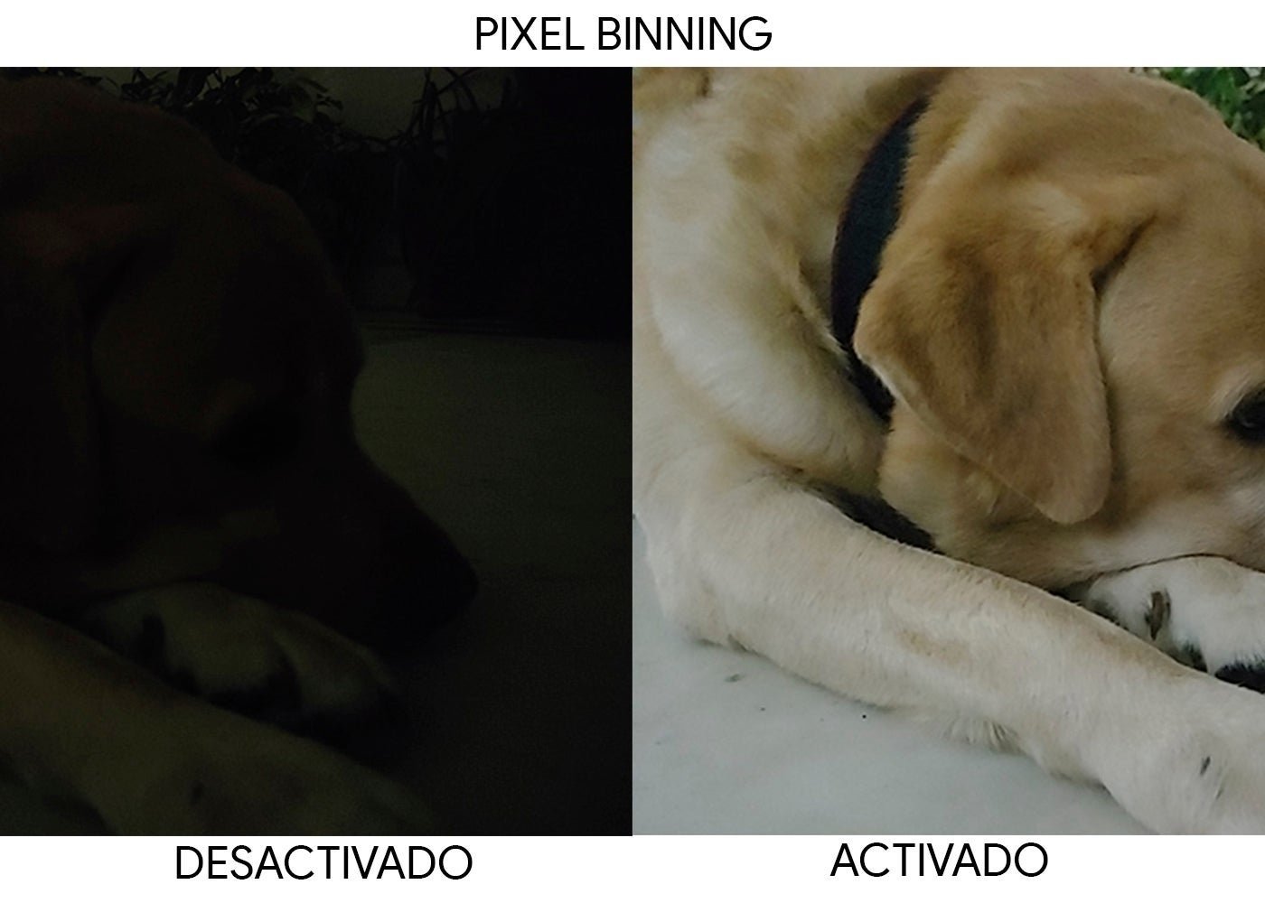 Pixel Binning