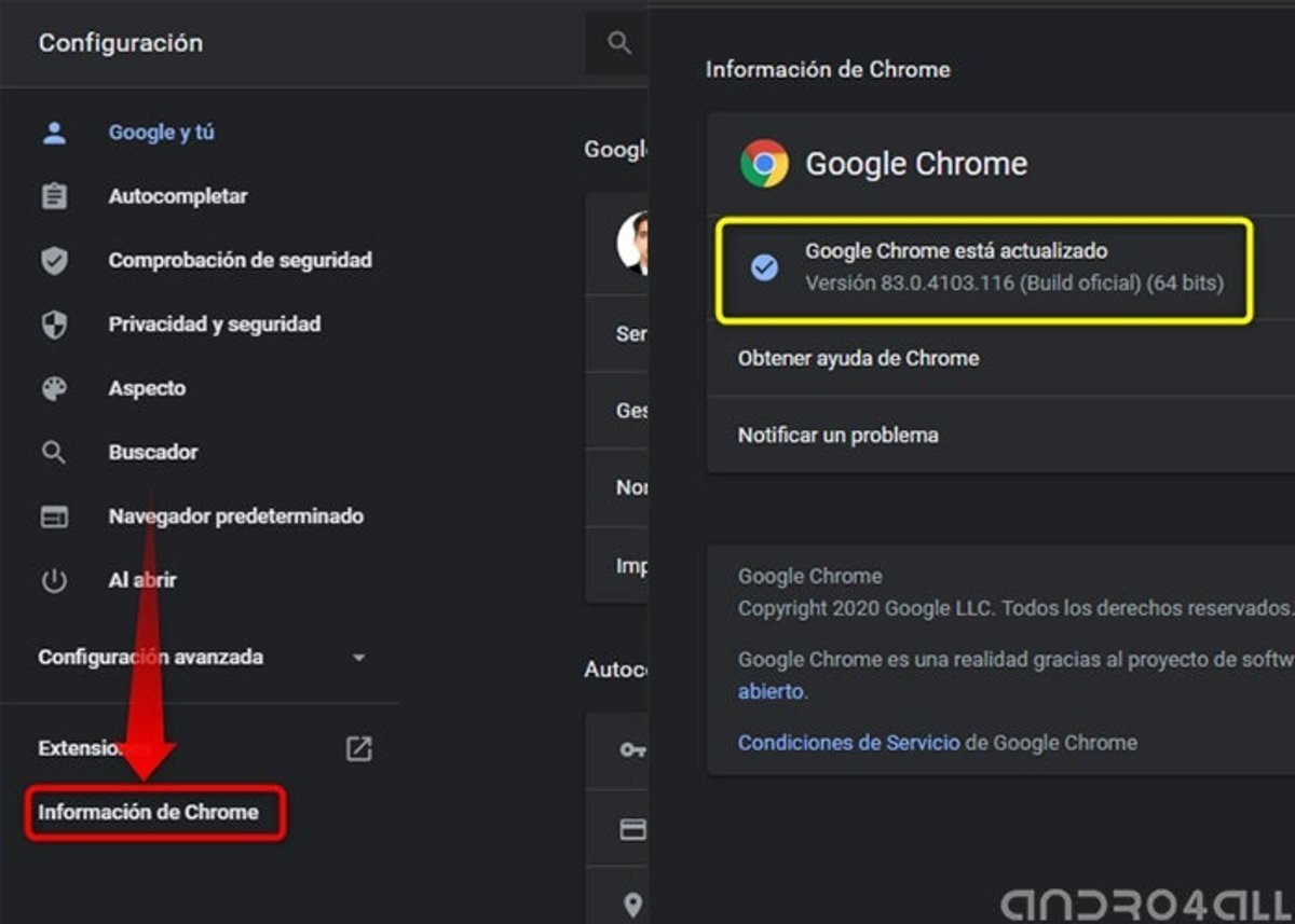 Información de Chrome