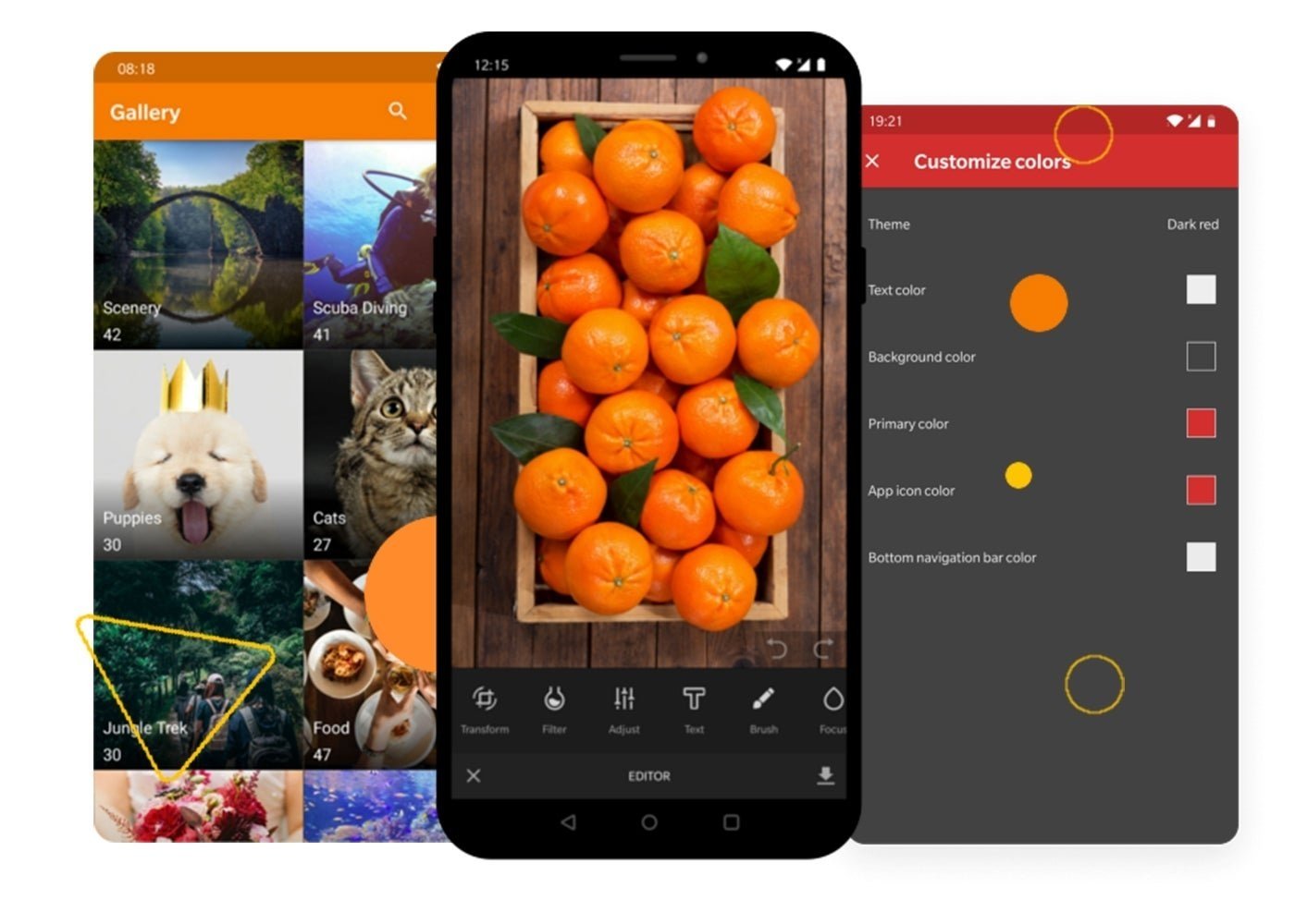 Simple Gallery Pro para Android