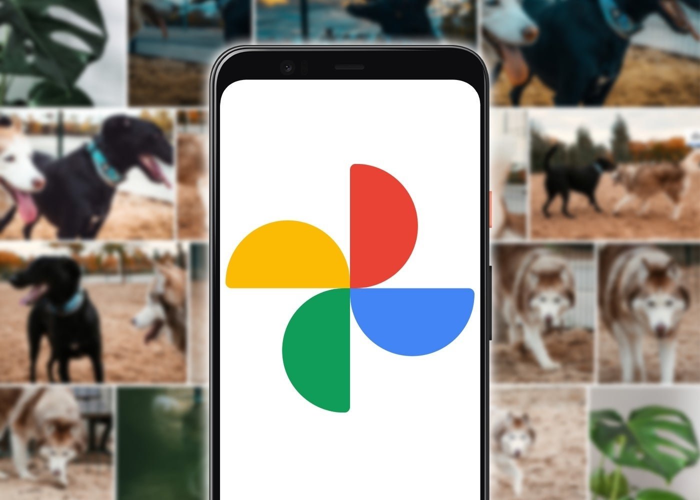 Download images and videos from Google Photos