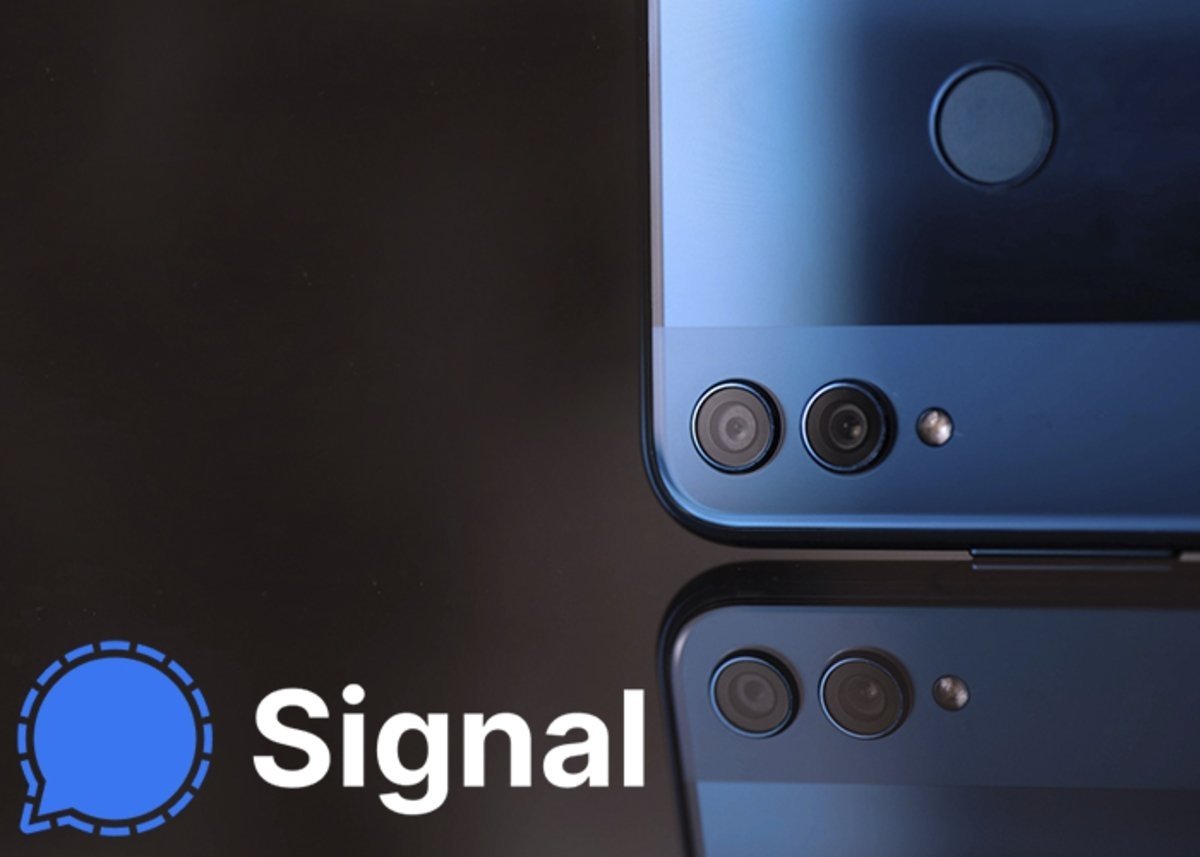 What are groups in Signal and how do they work?