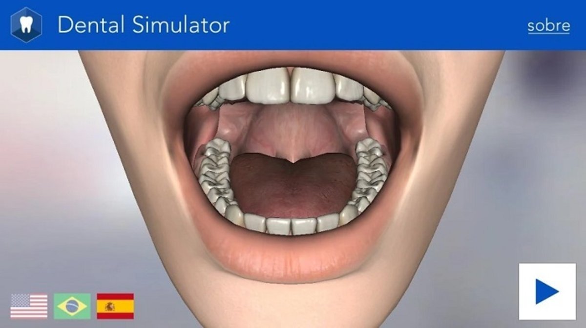 dental simulator