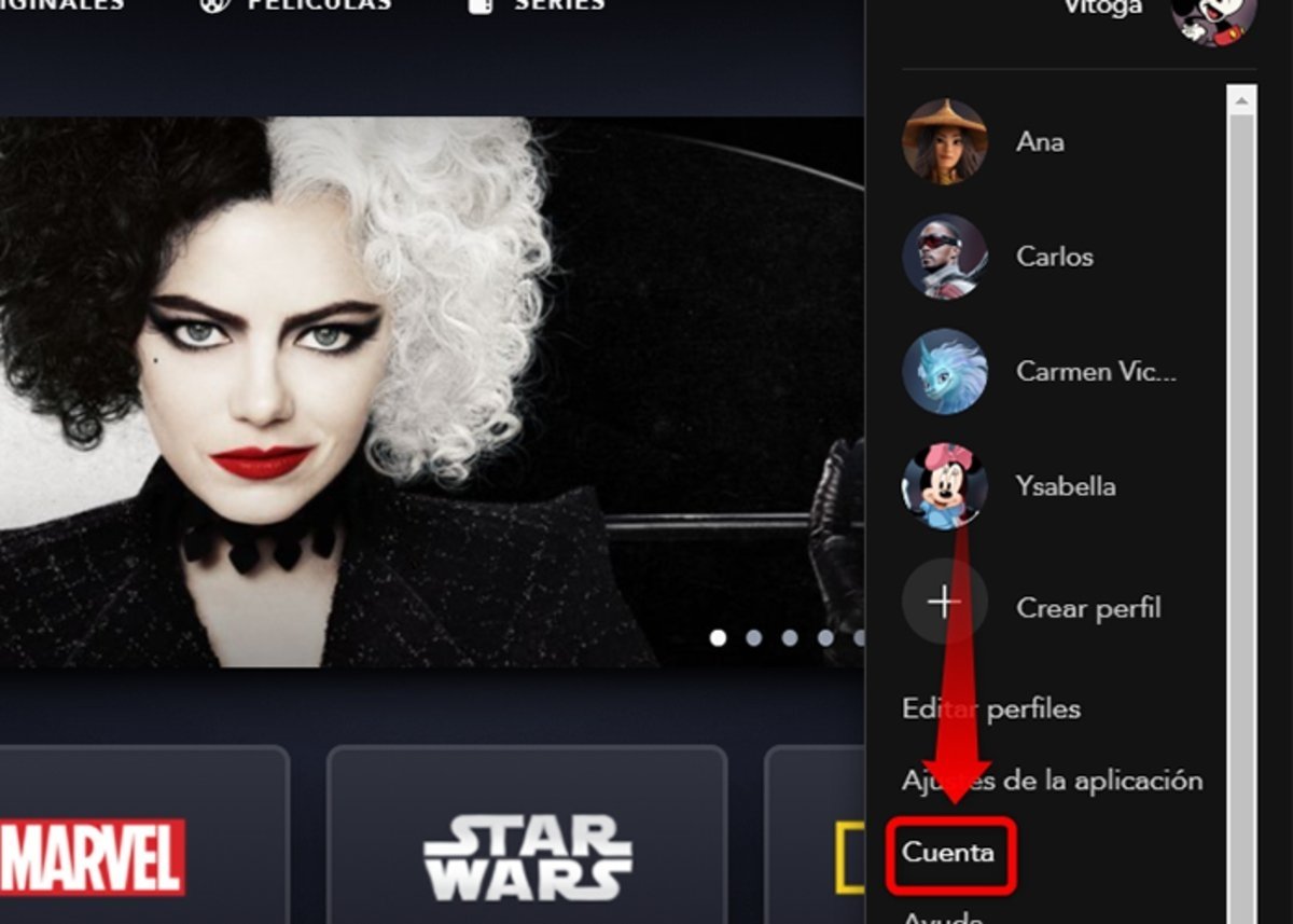 So you can restrict the creation of new profiles on Disney +